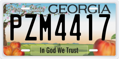 GA license plate PZM4417