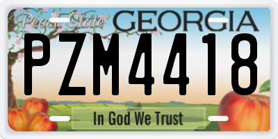GA license plate PZM4418