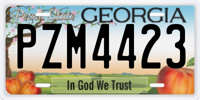 GA license plate PZM4423