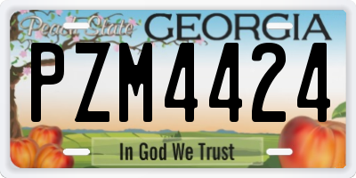 GA license plate PZM4424