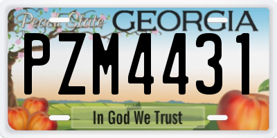 GA license plate PZM4431