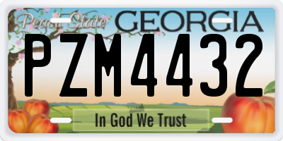 GA license plate PZM4432