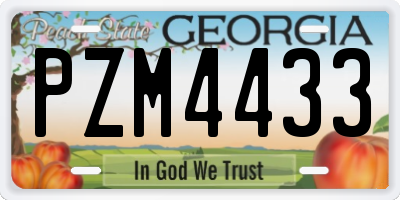GA license plate PZM4433