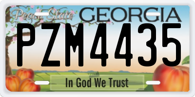 GA license plate PZM4435