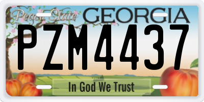 GA license plate PZM4437