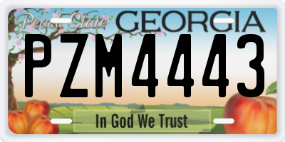 GA license plate PZM4443