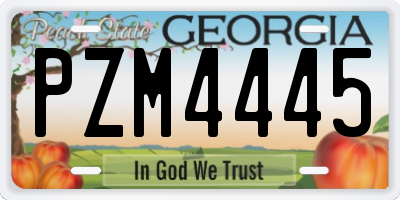 GA license plate PZM4445