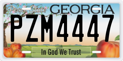 GA license plate PZM4447