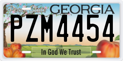 GA license plate PZM4454