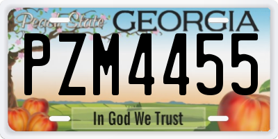 GA license plate PZM4455