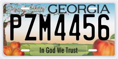GA license plate PZM4456