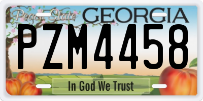 GA license plate PZM4458