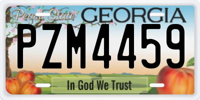 GA license plate PZM4459