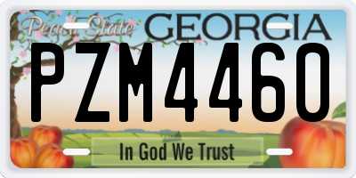 GA license plate PZM4460