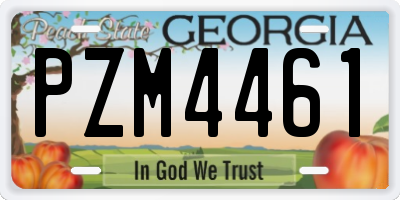 GA license plate PZM4461