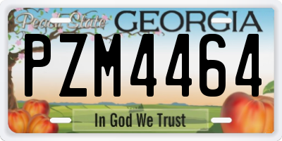 GA license plate PZM4464