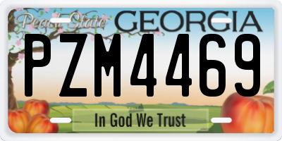 GA license plate PZM4469