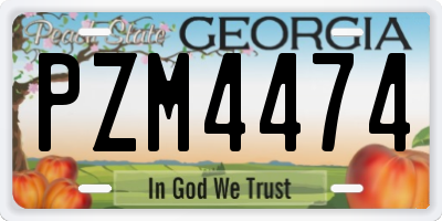 GA license plate PZM4474