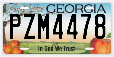 GA license plate PZM4478