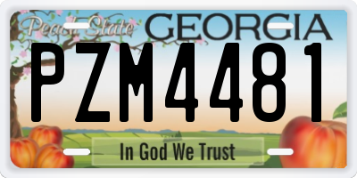 GA license plate PZM4481