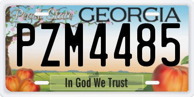 GA license plate PZM4485