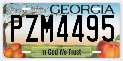 GA license plate PZM4495
