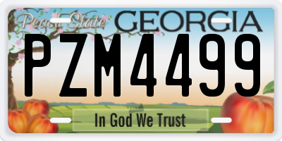 GA license plate PZM4499