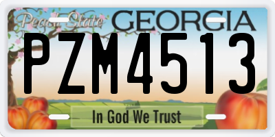 GA license plate PZM4513