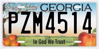 GA license plate PZM4514