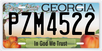 GA license plate PZM4522