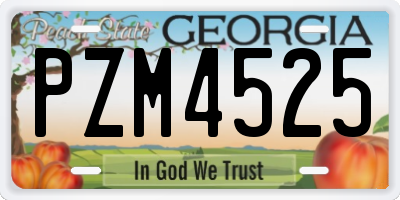 GA license plate PZM4525