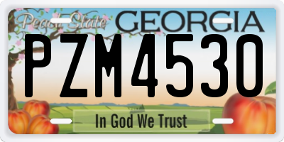 GA license plate PZM4530