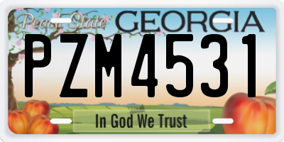 GA license plate PZM4531