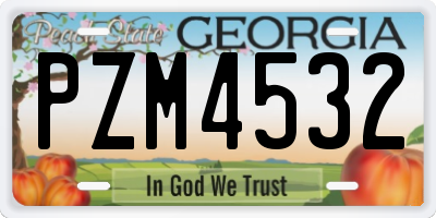 GA license plate PZM4532