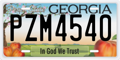 GA license plate PZM4540