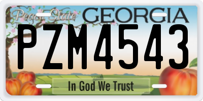 GA license plate PZM4543