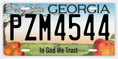 GA license plate PZM4544