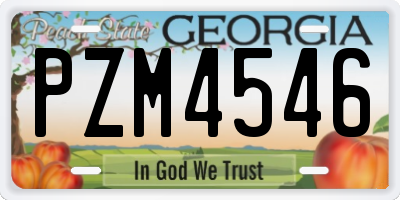 GA license plate PZM4546