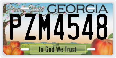 GA license plate PZM4548