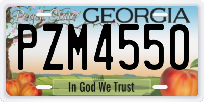GA license plate PZM4550