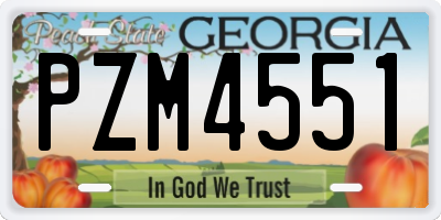 GA license plate PZM4551