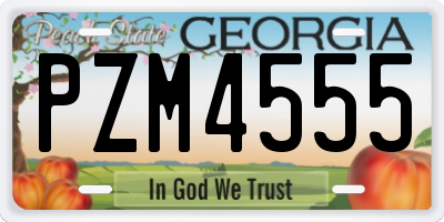 GA license plate PZM4555