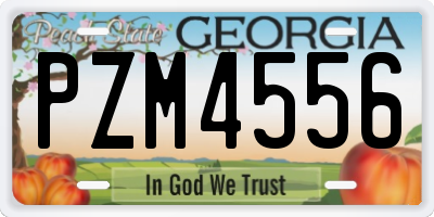 GA license plate PZM4556