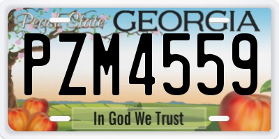 GA license plate PZM4559