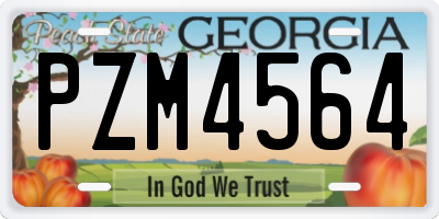 GA license plate PZM4564