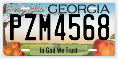GA license plate PZM4568