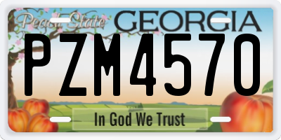 GA license plate PZM4570