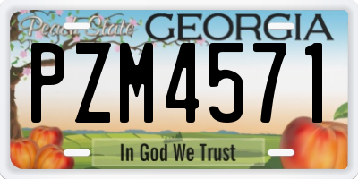 GA license plate PZM4571