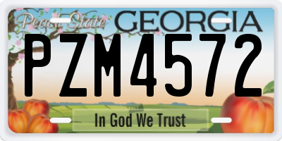 GA license plate PZM4572