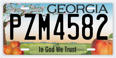 GA license plate PZM4582